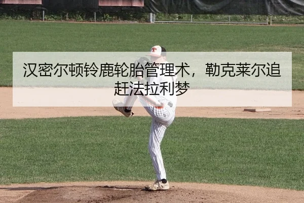 han-mi-er-dun-ling-lu-lun-tai-guan-li-shu-lei-ke-lai-er-zhui-gan-fa-la-li-meng-2-445.jpg
